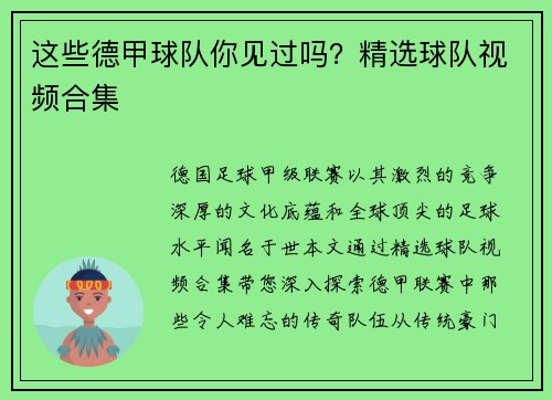 这些德甲球队你见过吗？精选球队视频合集